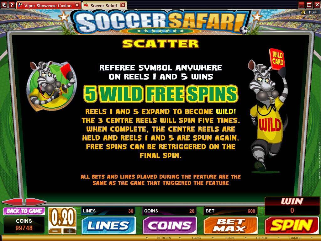 Microgaming 5 reel slot machine image