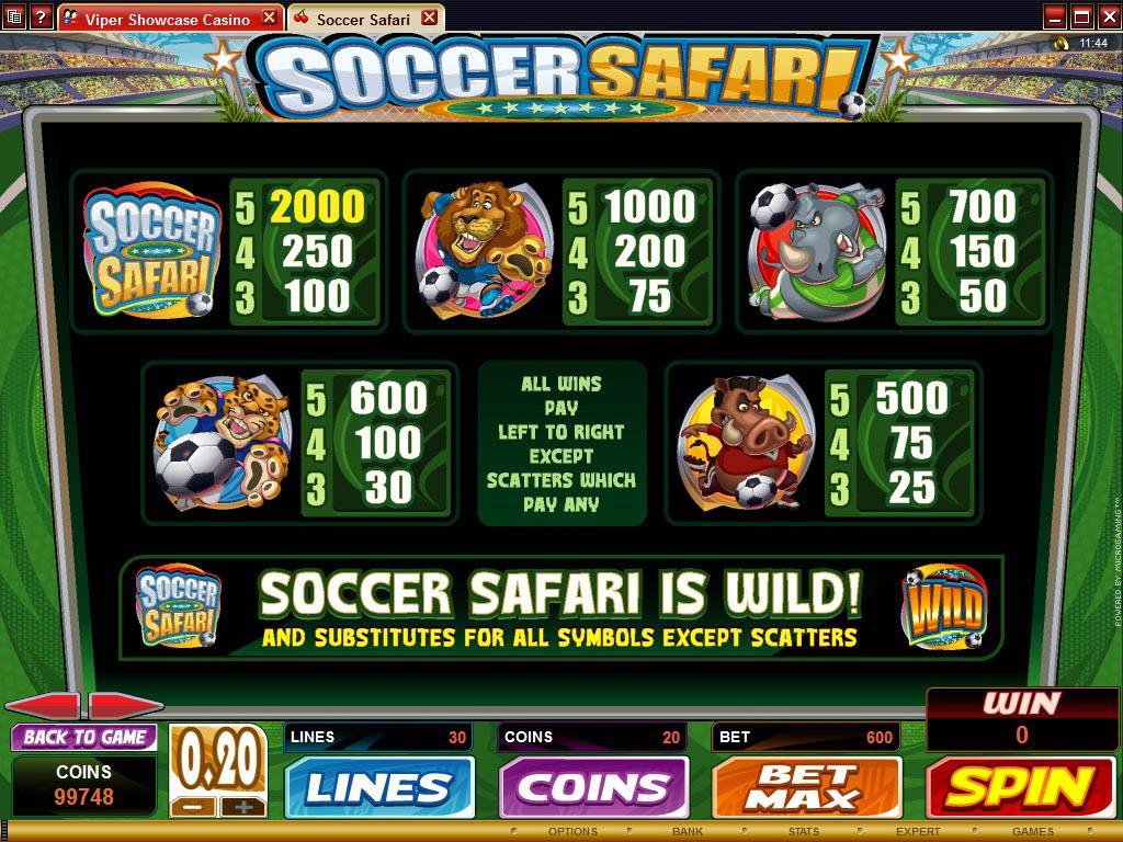 Microgaming 5 reel slot machine image