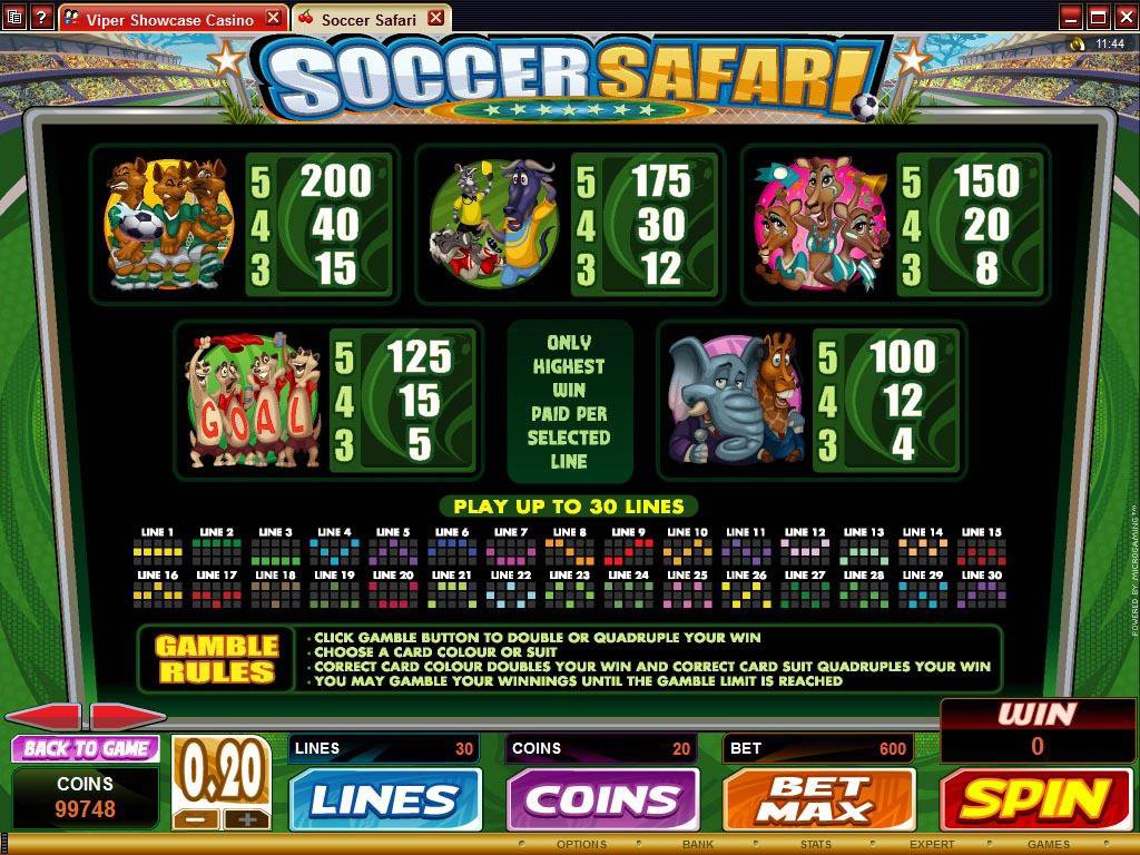 Microgaming 5 reel slot machine image