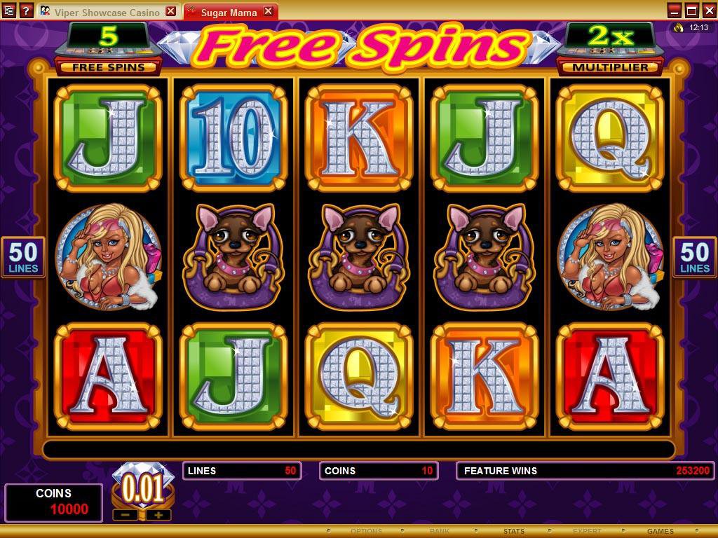 Microgaming 5 reel slot machine image