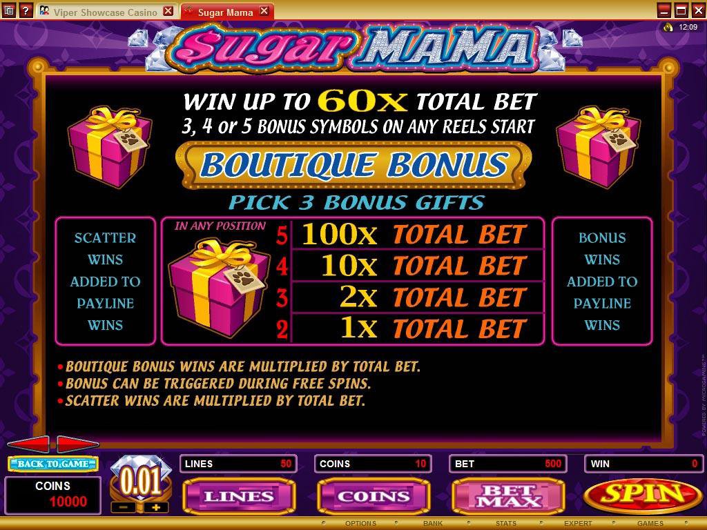 Microgaming 5 reel slot machine image