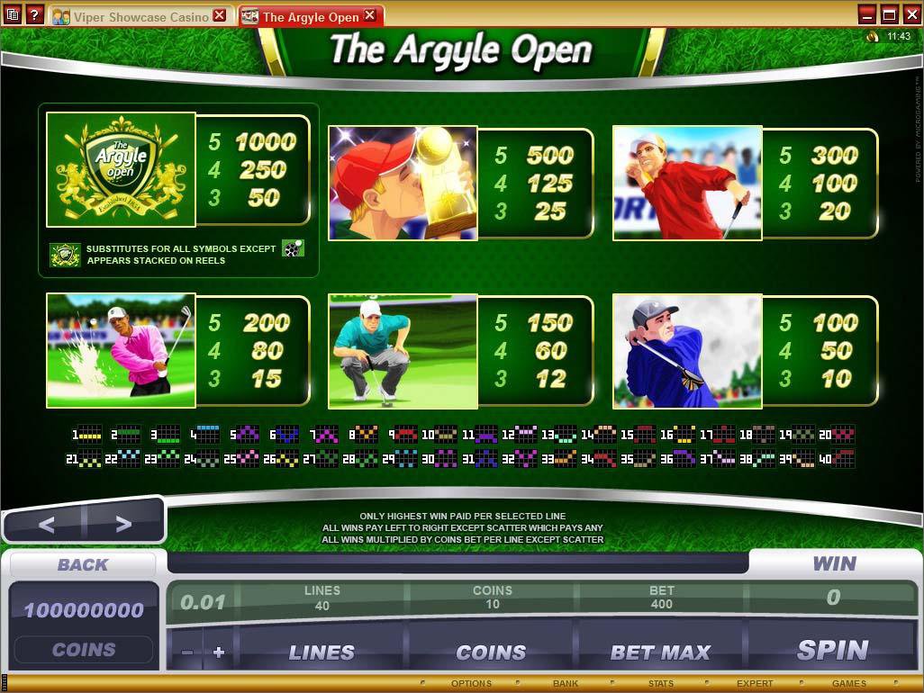 Microgaming 5 reel slot machine image