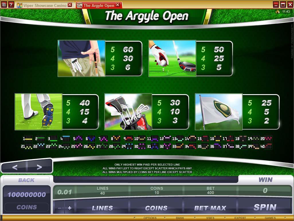 Microgaming 5 reel slot machine image