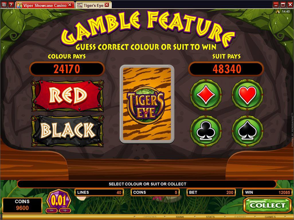 Microgaming 5 reel slot machine image