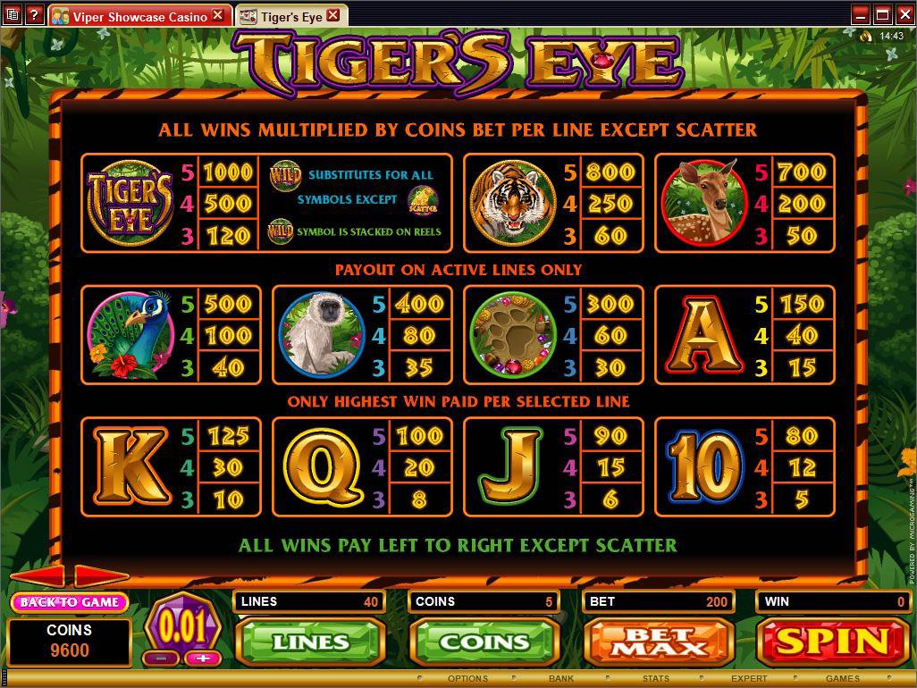 Microgaming 5 reel slot machine image