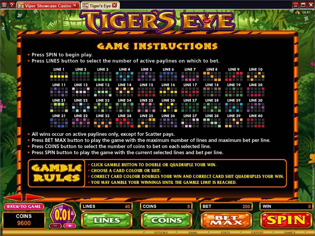 Microgaming 5 reel slot machine image