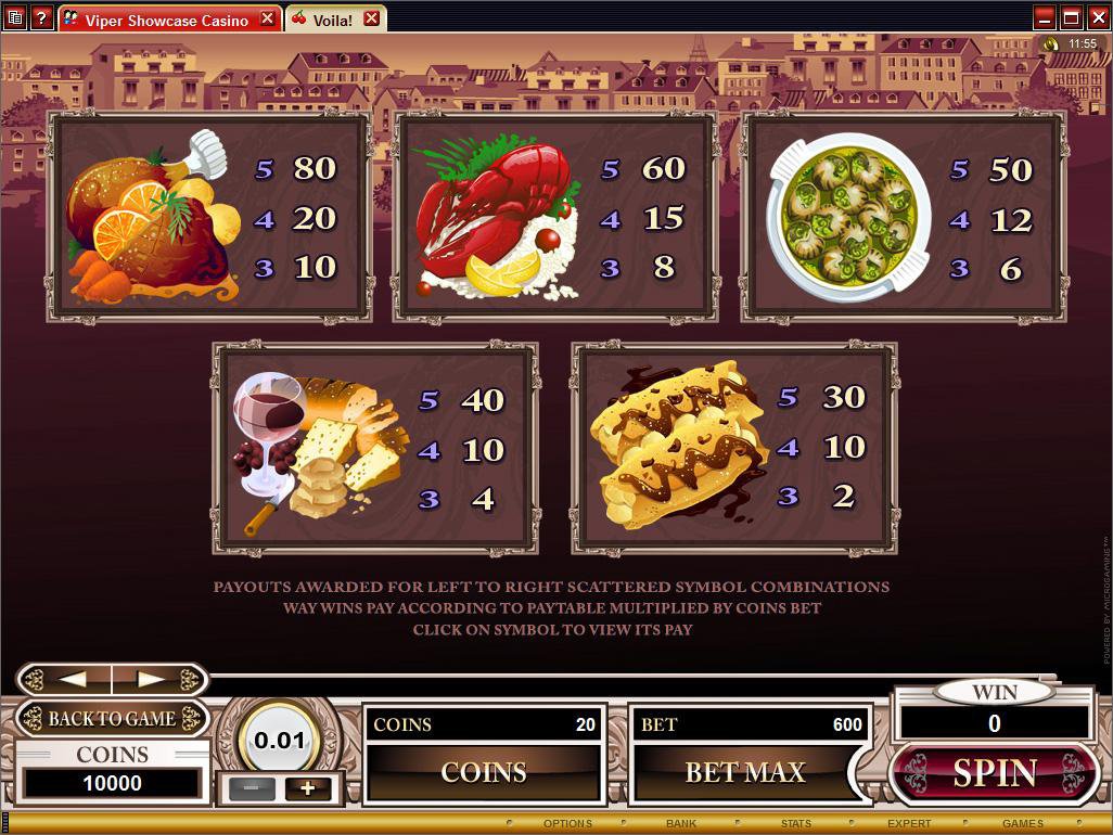 Microgaming 5 reel slot machine image