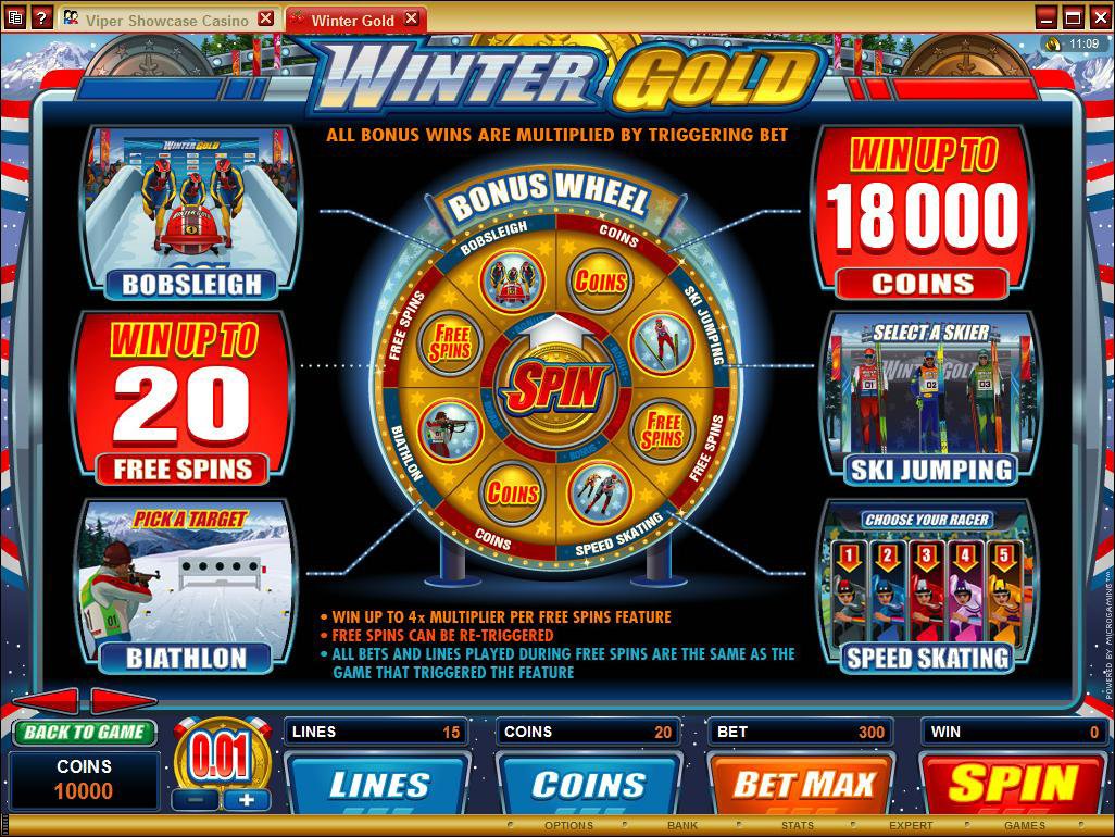 Microgaming 5 reel slot machine image