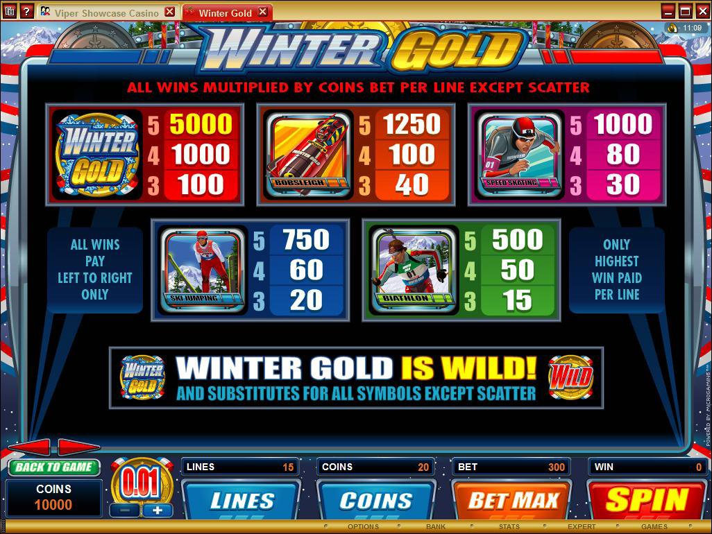 Microgaming 5 reel slot machine image