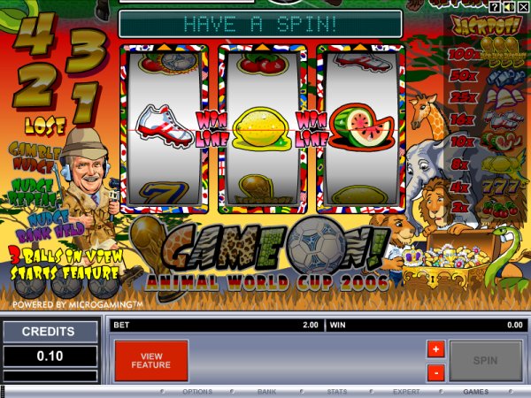 Microgaming fruit machine image