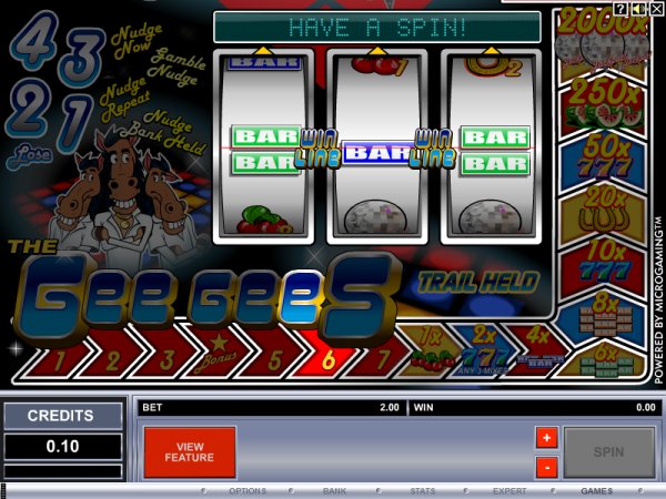 Microgaming fruit machine image
