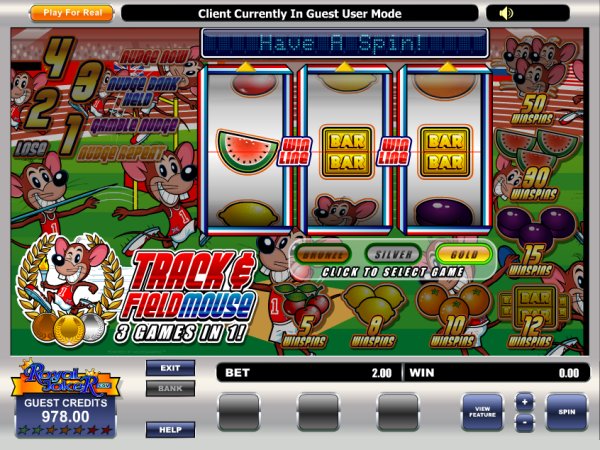 Microgaming fruit machine image