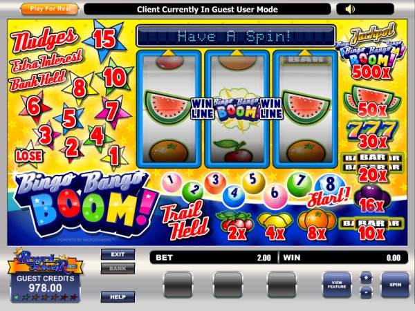 Microgaming fruit machine image