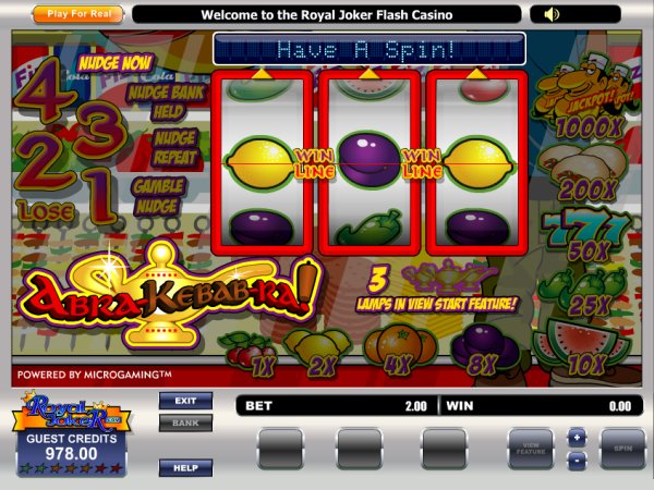 Microgaming fruit machine image