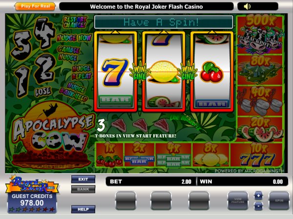 Microgaming fruit machine image