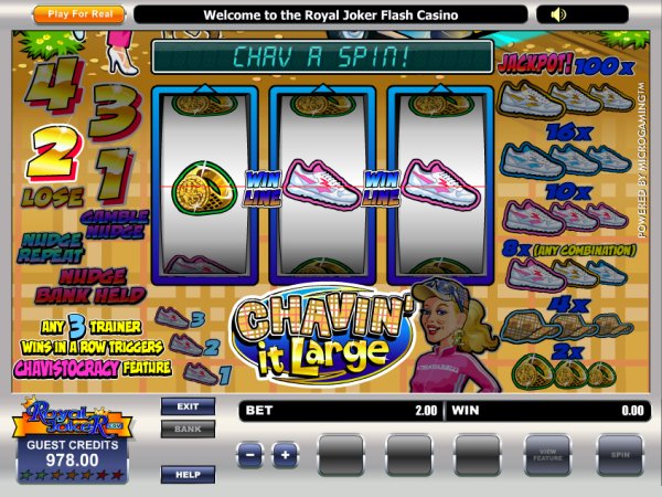 Microgaming fruit machine image