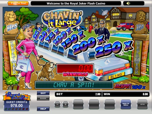Microgaming fruit machine image