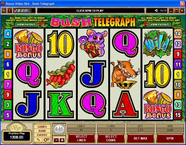 Microgaming 5 reel slot machine image