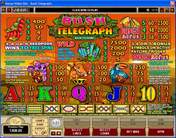 Microgaming 5 reel slot machine image