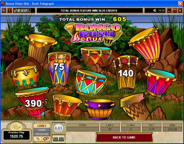 Microgaming 5 reel slot machine image