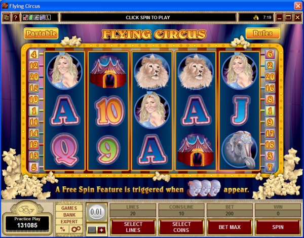 Microgaming 5 reel slot machine image