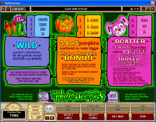 Microgaming 5 reel slot machine image