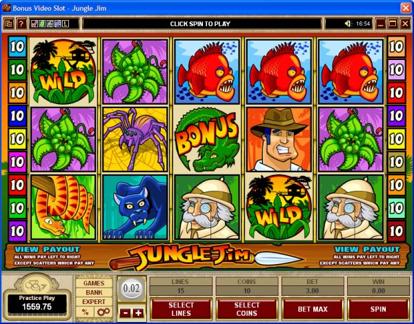 Microgaming 5 reel slot machine image