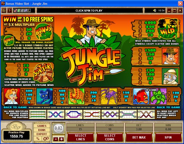 Microgaming 5 reel slot machine image