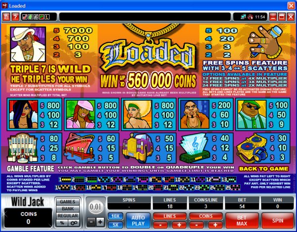 Microgaming 5 reel slot machine image