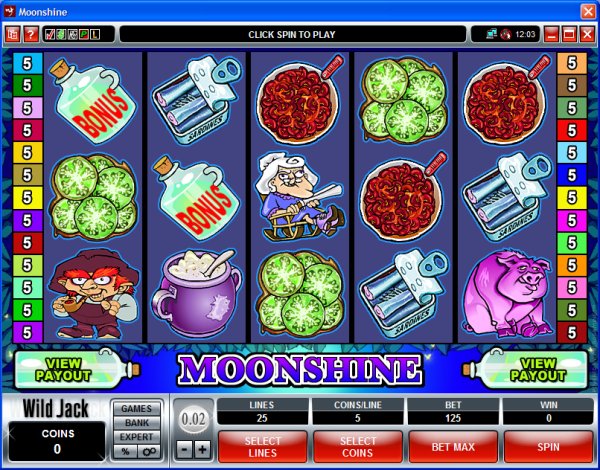 Microgaming 5 reel slot machine image