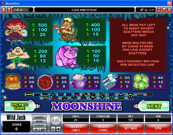 Microgaming 5 reel slot machine image