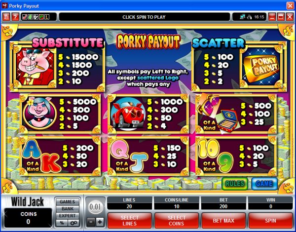 Microgaming 5 reel slot machine image