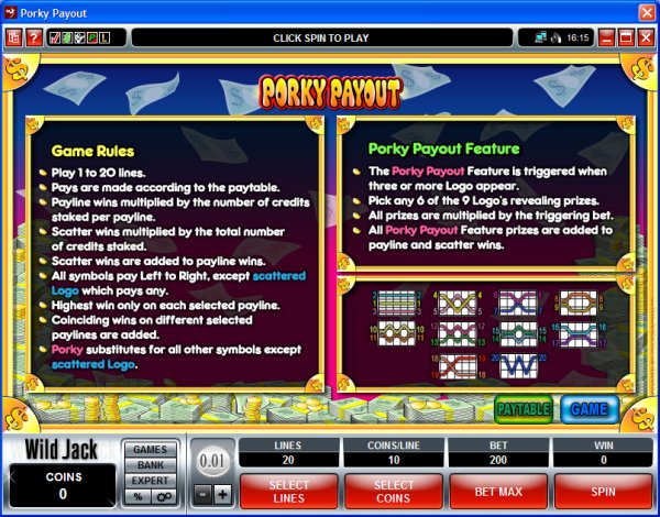 Microgaming 5 reel slot machine image