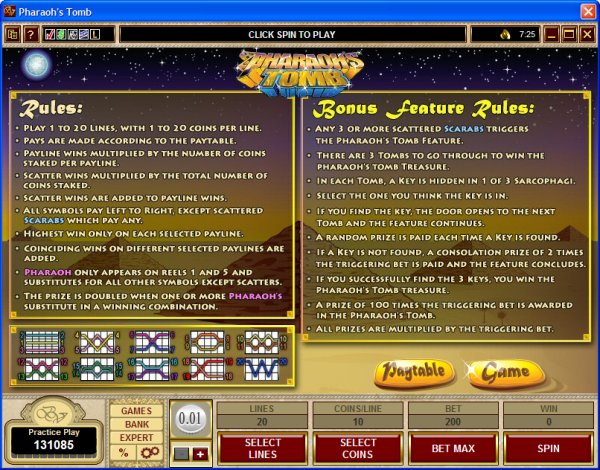 Microgaming 5 reel slot machine image