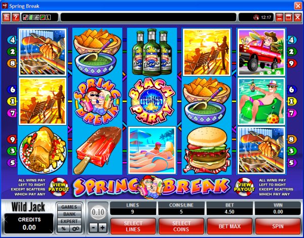 Microgaming 5 reel slot machine image