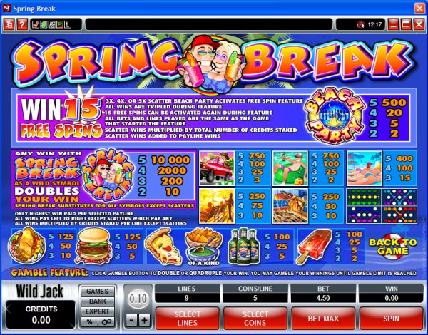 Microgaming 5 reel slot machine image