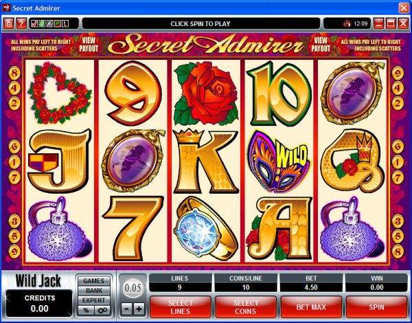 Microgaming 5 reel slot machine image