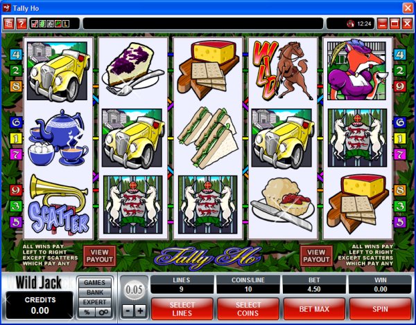 Microgaming 5 reel slot machine image