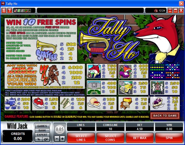 Microgaming 5 reel slot machine image